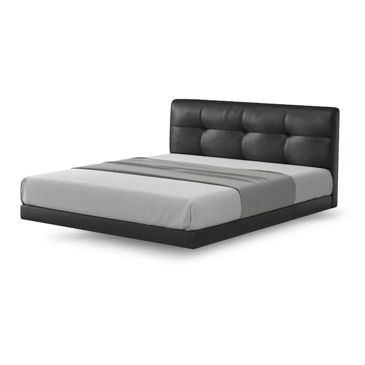 Moderni odinė sofa
